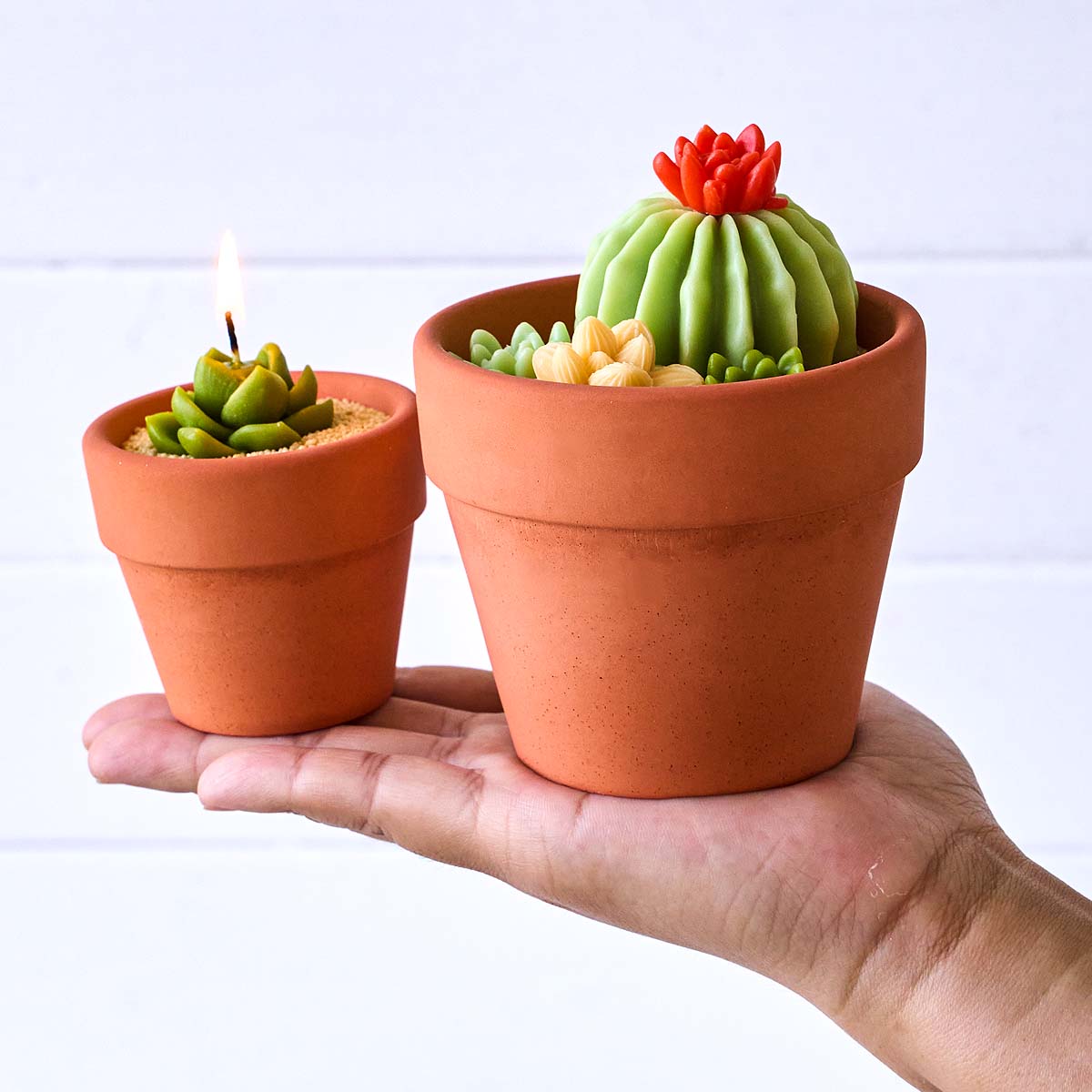 Силиконовая форма 3D «Скандина – обзор и цена Tagine Clay Pot